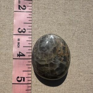 Black Moonstone Palm